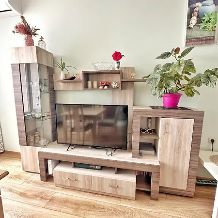 Sunny Apartment